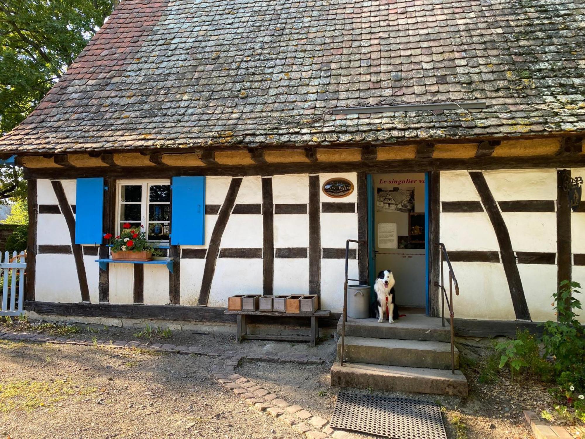 Chambres D'Hotes Des Cascades St-Nicolas Kruth Eksteriør bilde